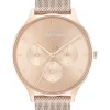 Calvin Klein Timeless Mesh Ionic Plated Carnation Gold Steel Watch 25200102